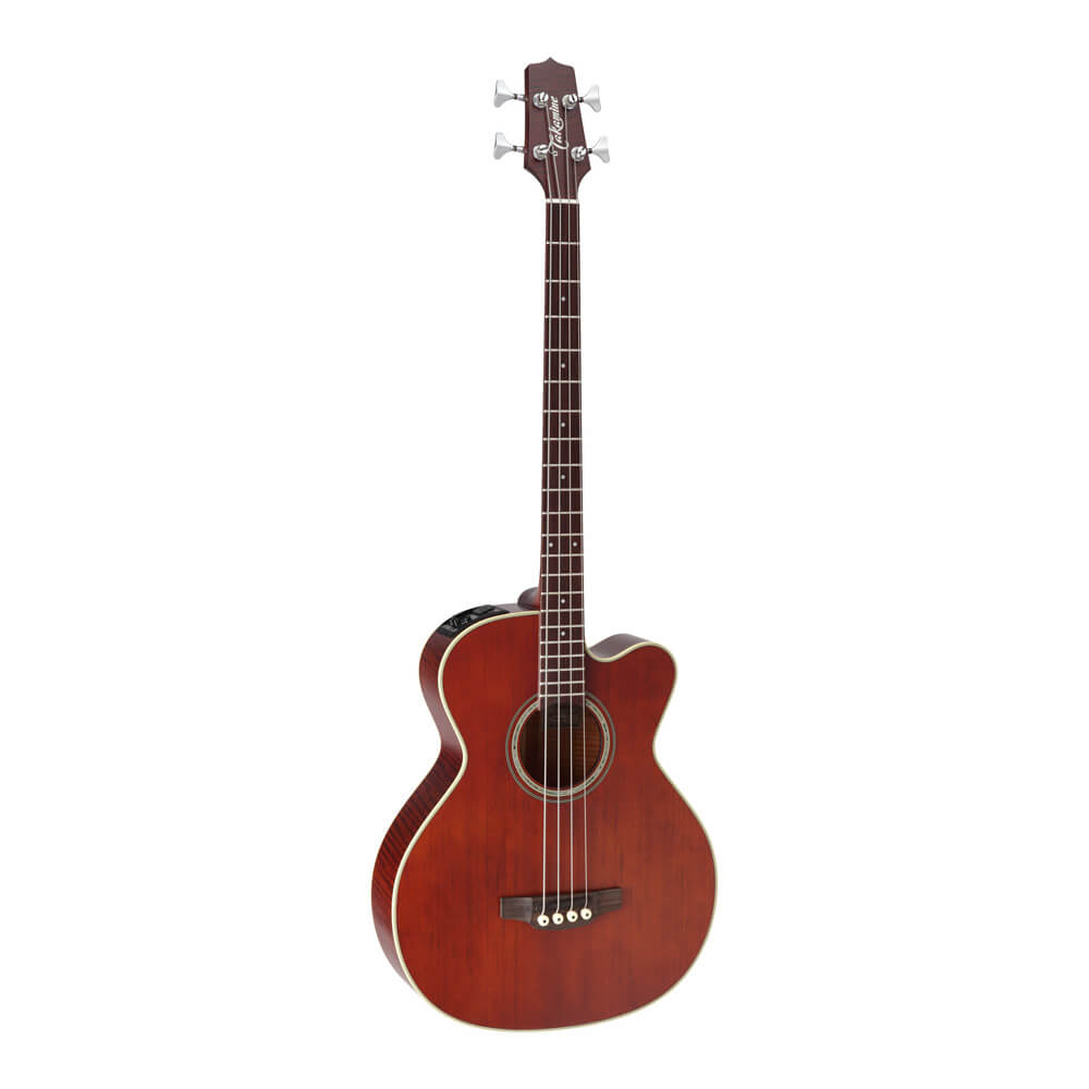 Takamine PB-35 フレットレスエレアコベース（スタンド付属） - ベース