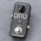 tc electronic DITTO LOOPER｜ミュージックランドKEY