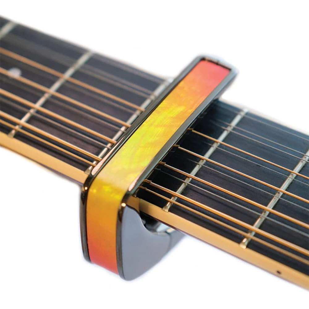 Thalia Capo Limited Edition / Sunrise Shell / Chrome｜ミュージック