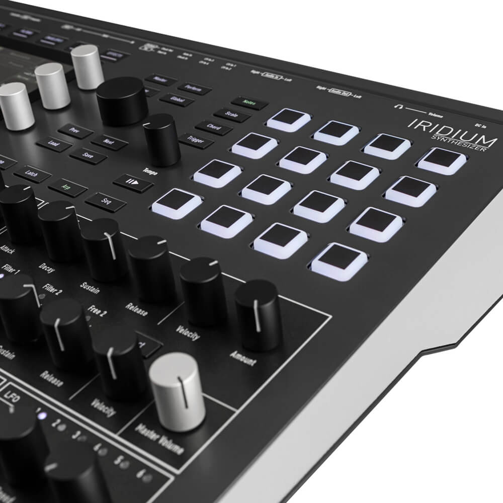 WALDORF ( ウォルドルフ ) Iridium WALDORF ( ウォルドルフ ) Iridium 送料無料 | サウンドハウス