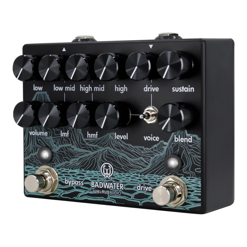 WALRUS AUDIO Badwater Bass Pre-amp and D.I. [WAL-BADW