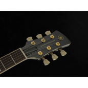 �J���[�o���G�[�V����